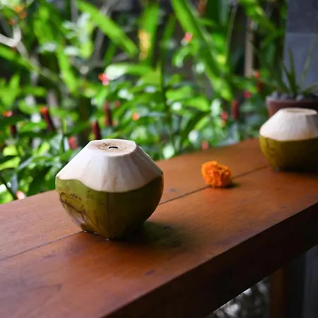 Gami Ubud Villa Exterior photo